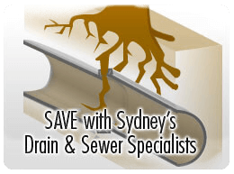 Sewer Root Intrusions