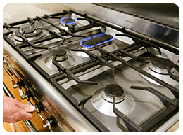 Gas Ovens and Barbecues